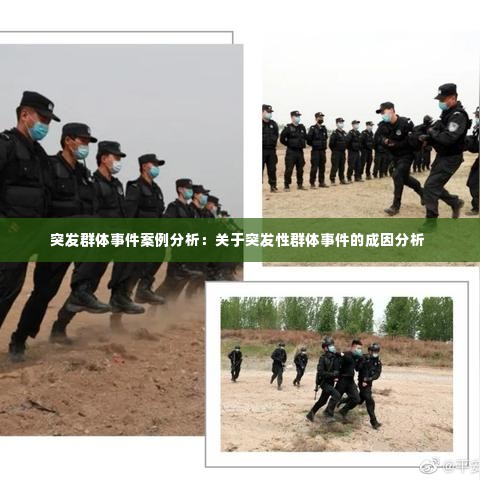 突发群体事件案例分析：关于突发性群体事件的成因分析 
