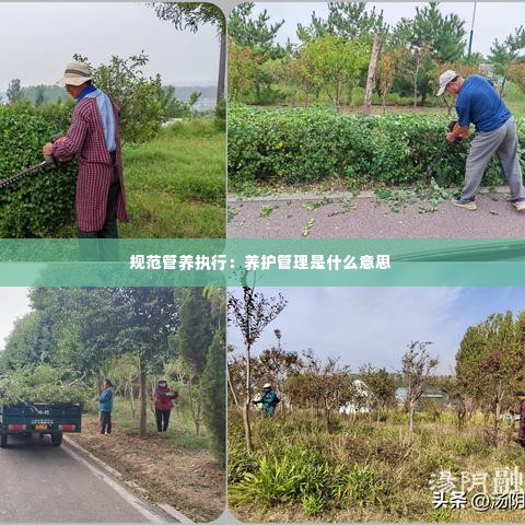 规范管养执行：养护管理是什么意思 