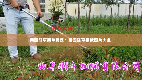 果园除草简单高效：果园除草机械图片大全 