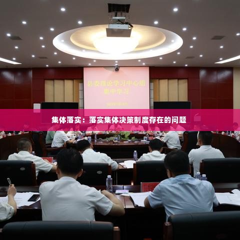 集体落实：落实集体决策制度存在的问题 