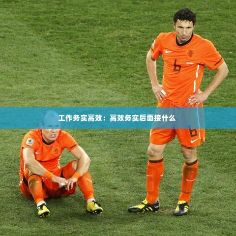 工作务实高效：高效务实后面接什么 