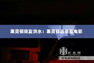 惠灵顿突发洪水：惠灵顿凶杀案电影 