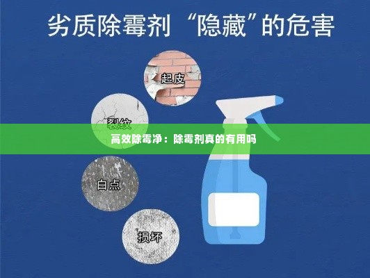 高效除霉净：除霉剂真的有用吗 