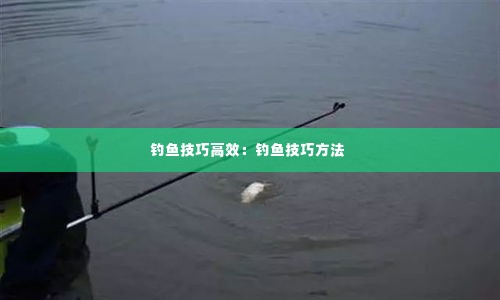 钓鱼技巧高效：钓鱼技巧方法 
