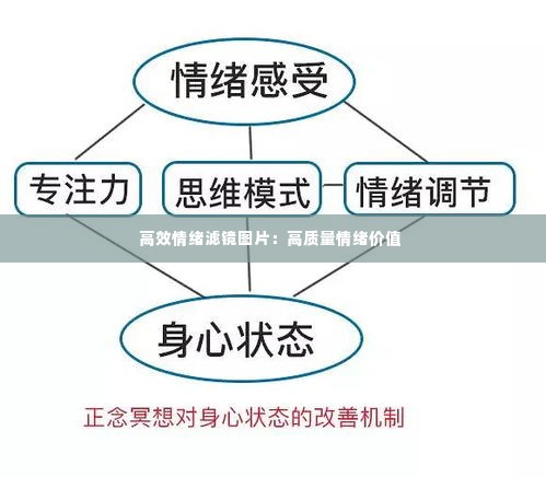 高效情绪滤镜图片：高质量情绪价值 