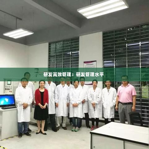 研发高效管理：研发管理水平 