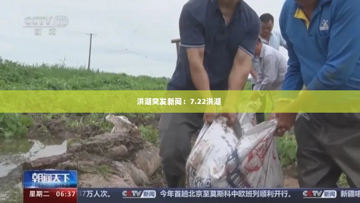 洪湖突发新闻：7.22洪湖 