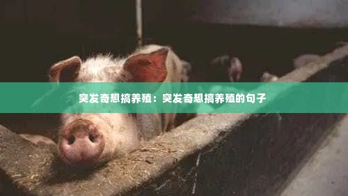 法贵必行 第2页