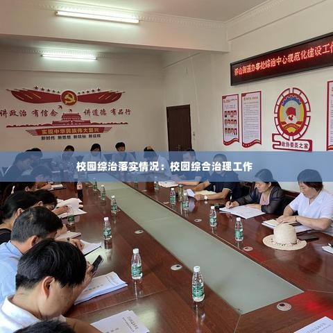 校园综治落实情况：校园综合治理工作 