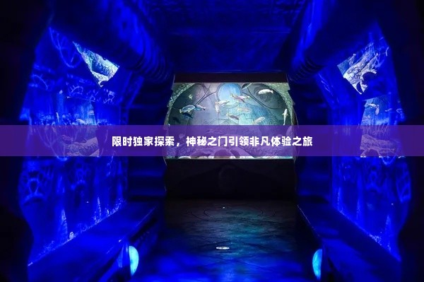 限时独家探索，神秘之门引领非凡体验之旅