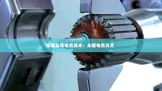 永磁高效电机技术：永磁电机优点 