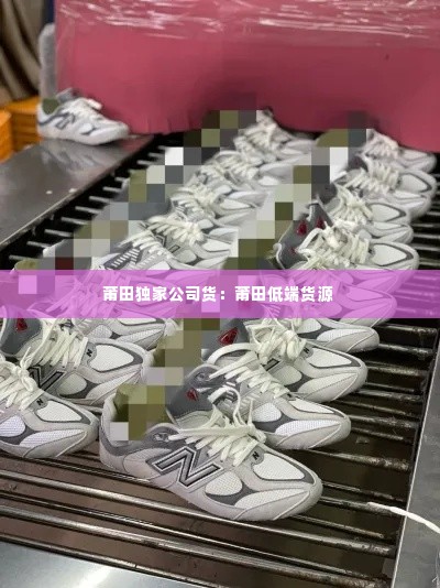 莆田独家公司货：莆田低端货源 