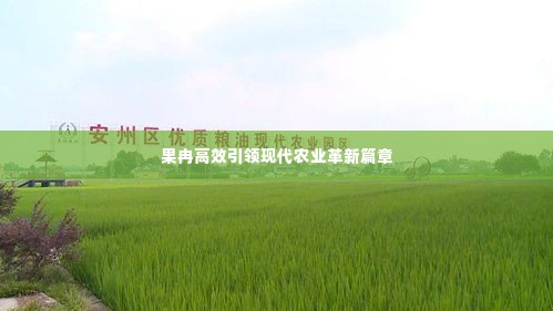 果冉高效引领现代农业革新篇章