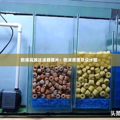 学而不厌 第2页
