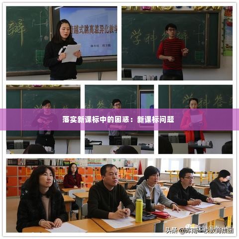 落实新课标中的困惑：新课标问题 
