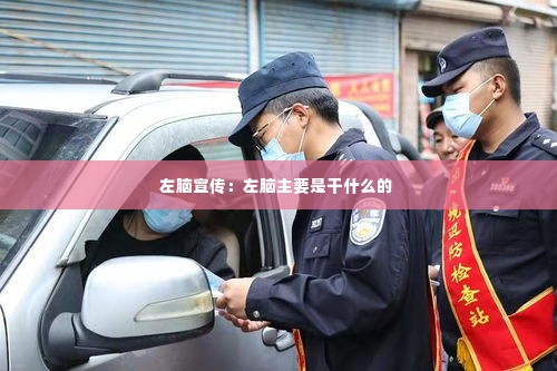 左脑宣传：左脑主要是干什么的 