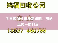 眼空四海 第2页