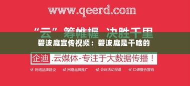 碧波庭宣传视频：碧波庭是干啥的 