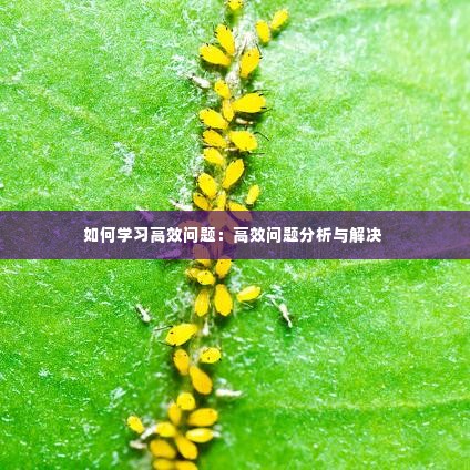 如何学习高效问题：高效问题分析与解决 