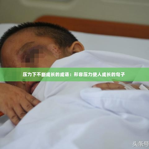 压力下不断成长的成语：形容压力使人成长的句子 