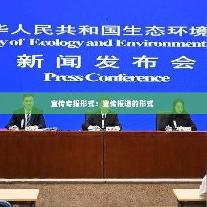 宣传专报形式：宣传报道的形式 