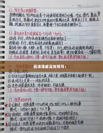 阅读理解高效预习： 