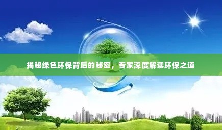 鸟飞兔走 第2页