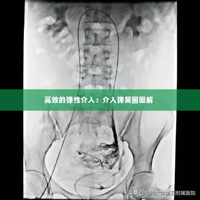 穷鸟入怀 第2页