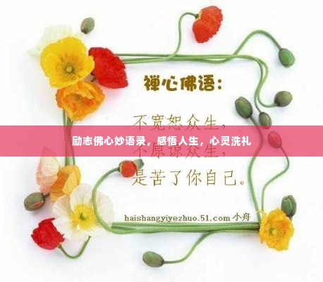 励志佛心妙语录，感悟人生，心灵洗礼