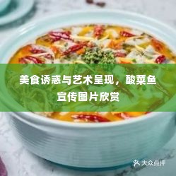 美食诱惑与艺术呈现，酸菜鱼宣传图片欣赏
