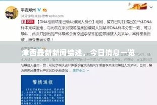 津西最新新闻综述，今日消息一览