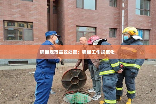确保规范高效处置：确保工作规范化 