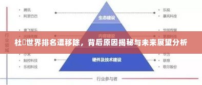 杜玥世界排名遭移除，背后原因揭秘与未来展望分析