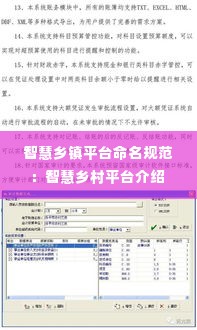 智慧乡镇平台命名规范：智慧乡村平台介绍 