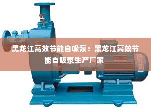 黑龙江高效节能自吸泵：黑龙江高效节能自吸泵生产厂家 