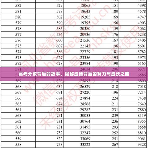 高考分数背后的故事，揭秘成绩背后的努力与成长之路