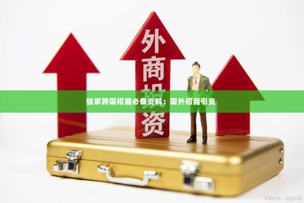 独家跨国招商必备资料：国外招商引资 