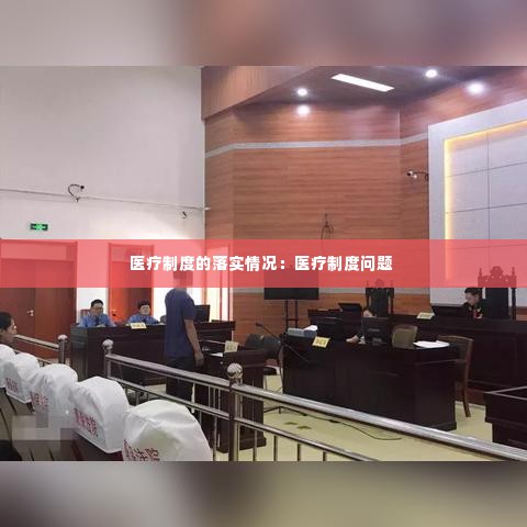 医疗制度的落实情况：医疗制度问题 