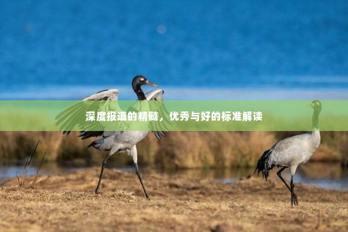深度报道的精髓，优秀与好的标准解读