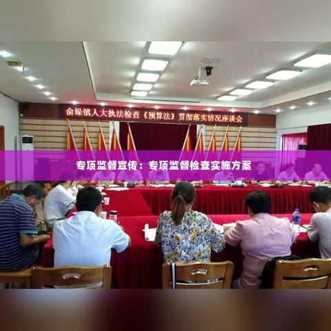 专项监督宣传：专项监督检查实施方案 