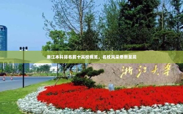 浙江本科排名前十高校概览，名校风采悉数呈现