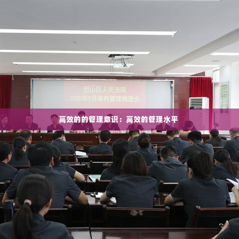 高效的的管理意识：高效的管理水平 