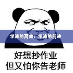 学渣的高效：学渣的前途 