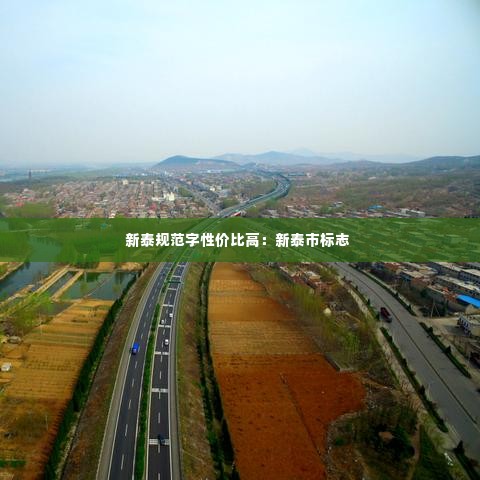 新泰规范字性价比高：新泰市标志 