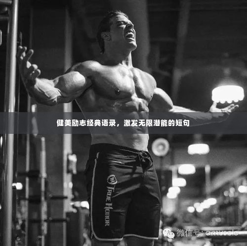 健美励志经典语录，激发无限潜能的短句