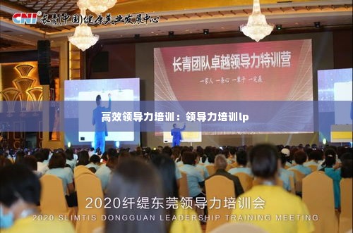 高效领导力培训：领导力培训lp 