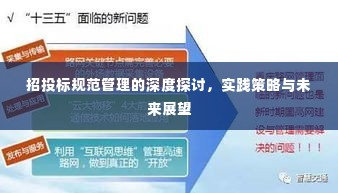 招投标规范管理的深度探讨，实践策略与未来展望