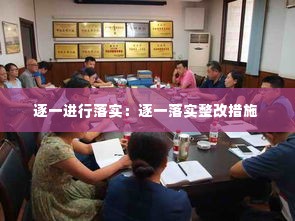 逐一进行落实：逐一落实整改措施 