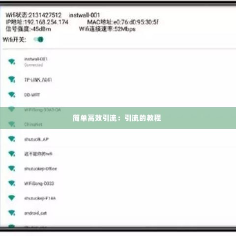 简单高效引流：引流的教程 