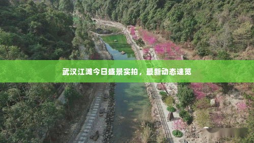 武汉江滩今日盛景实拍，最新动态速览
